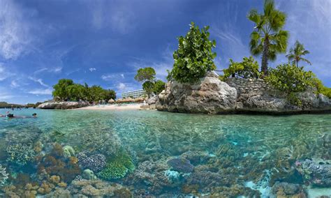 15 Best Dive Sites in Curacao in 2024 .